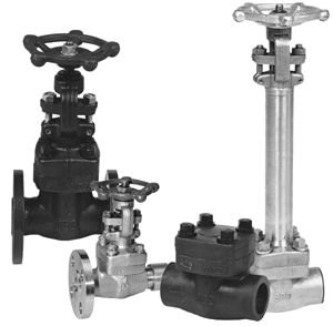 FORGED STEEL GATE VALVE